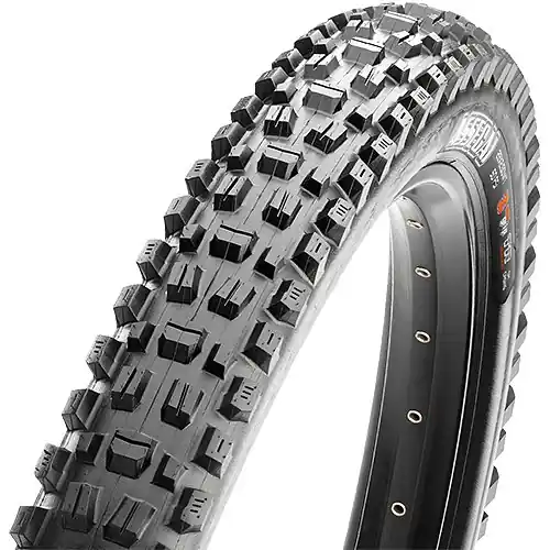 MAXXIS ASSEGAI kevlar 29x2.5/3C EXO T.R. - Plášť na kolo Endorphin Republic Top Prodej