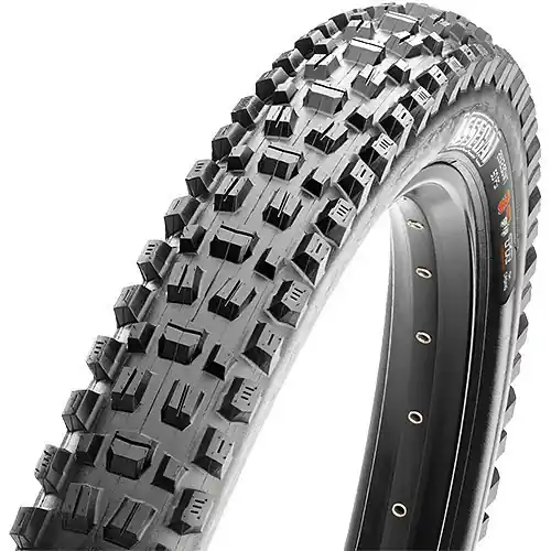 Zlevněný Maxxis AsseGAI kevlar 29x2.5/3C T.R. DH - Plášť na kolo Endorphin Republic