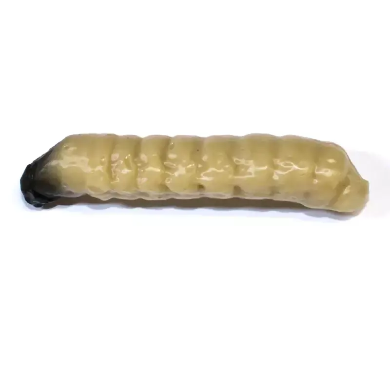 Sleva Revol Baits nástraha Caddis Larva 40mm příchuť krevetka, barva světle béžová 10ks