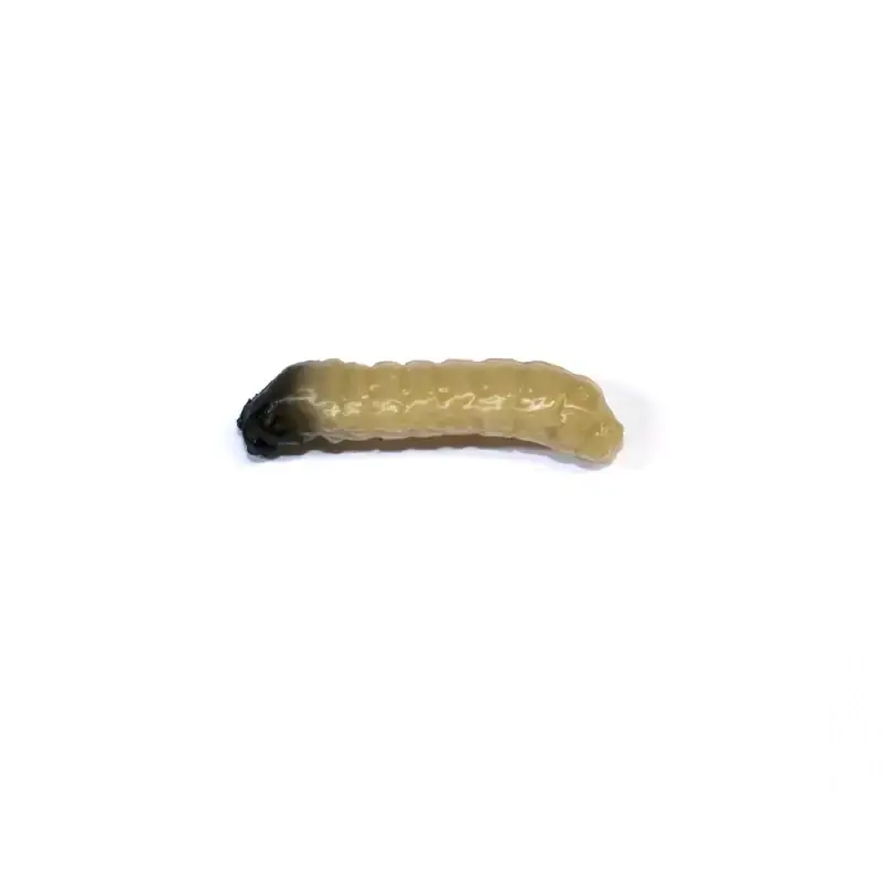 Dokud Zásoby Vydrží Revol Baits nástraha Caddis Larva 20mm příchuť krevetka, barva světle béžová 10ks