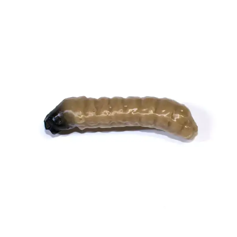 Kup Teď Revol Baits nástraha Caddis Larva 30mm příchuť sýr-česnek, barva tmavě béžová 10ks