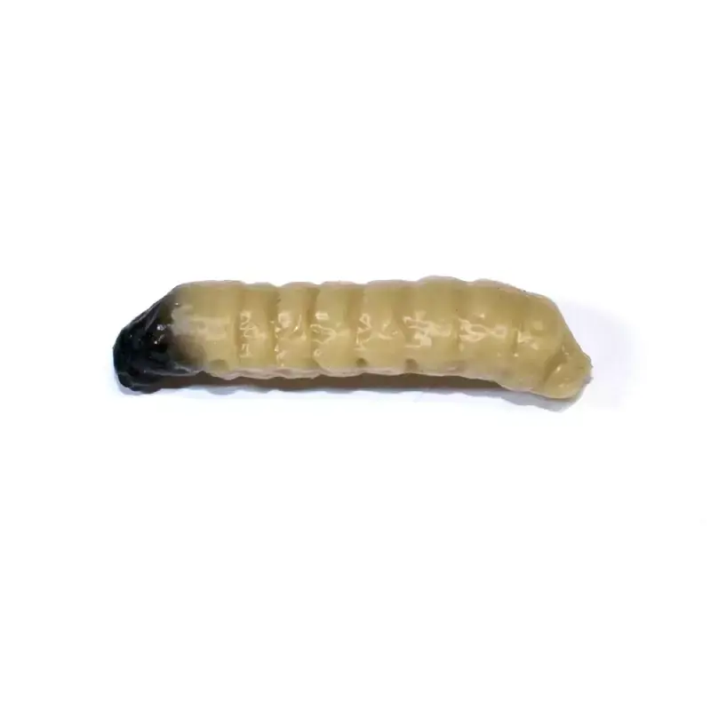 Levný Revol Baits nástraha Caddis Larva 30mm příchuť sýr-česnek, barva světle béžová 10ks