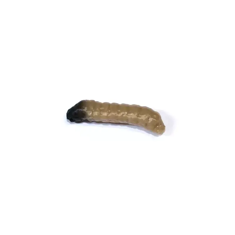 Značkový Revol Baits nástraha Caddis Larva 20mm příchuť sýr-česnek, barva tmavě béžová 10ks