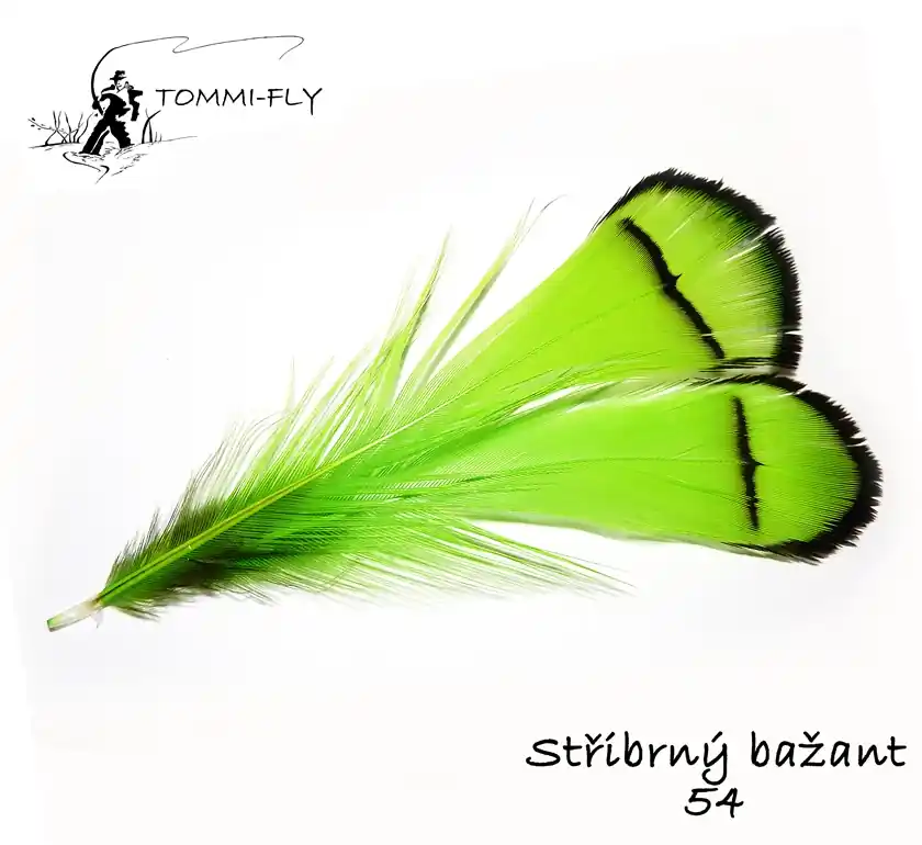Sleva Tommi Fly PEŘÍ PEŘÍ STŘÍBRNÉHO BAŽANTA KRČNÍ - fluo zelené