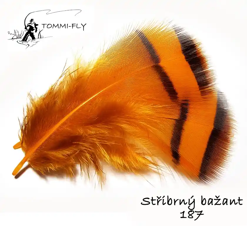 Bezpečná Platba Tommi Fly PEŘÍ PEŘÍ STŘÍBRNÉHO BAŽANTA KRČNÍ - oranžové