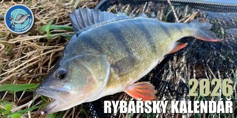 Stolní rybářský kalendář na rok 2026 Vysoce Kvalitní