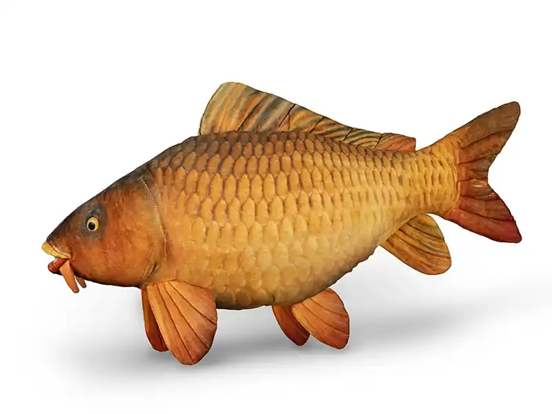 Nová Kolekce Plyšový kapr Delphin CARPY