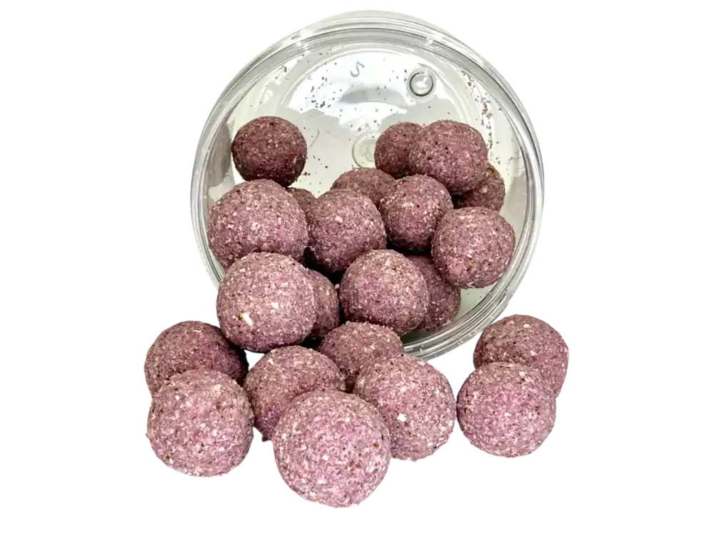 Odeslání Ihned LK Baits Fish Activ Plus Mulberry Florentine 18mm, 200ml