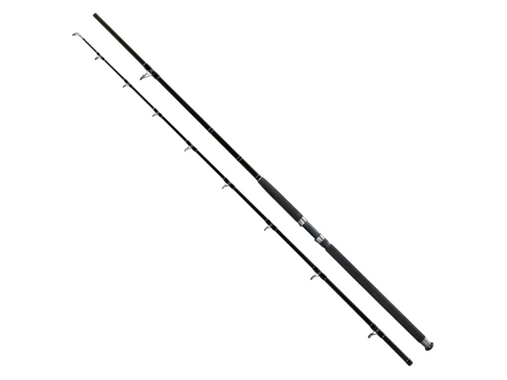 Giants fishing Prut Deluxe Catfish 2,7m 500g Nejlepší Volba