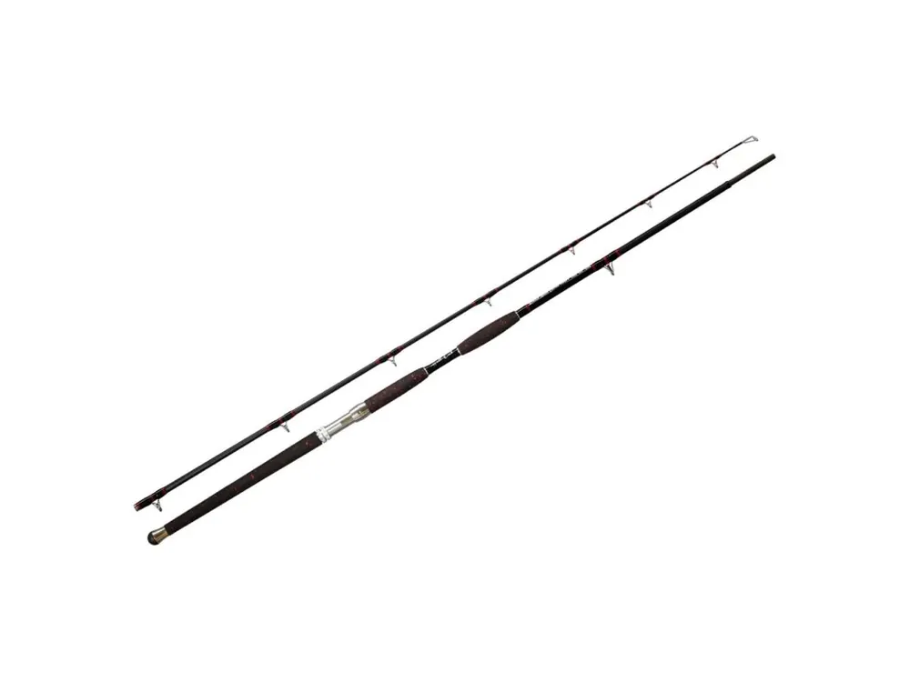 Nová Kolekce Hell-Cat Prut Kronoss Black Edition 3,1m 400-600g
