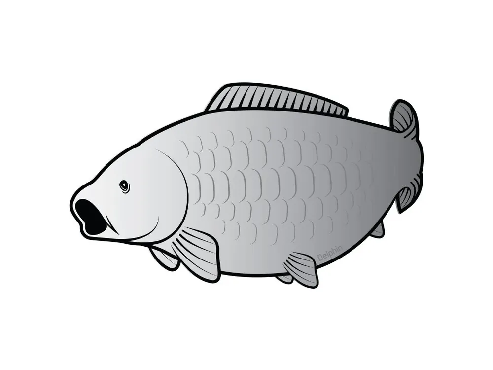 Nálepka kapr SILVER Tovární Cena