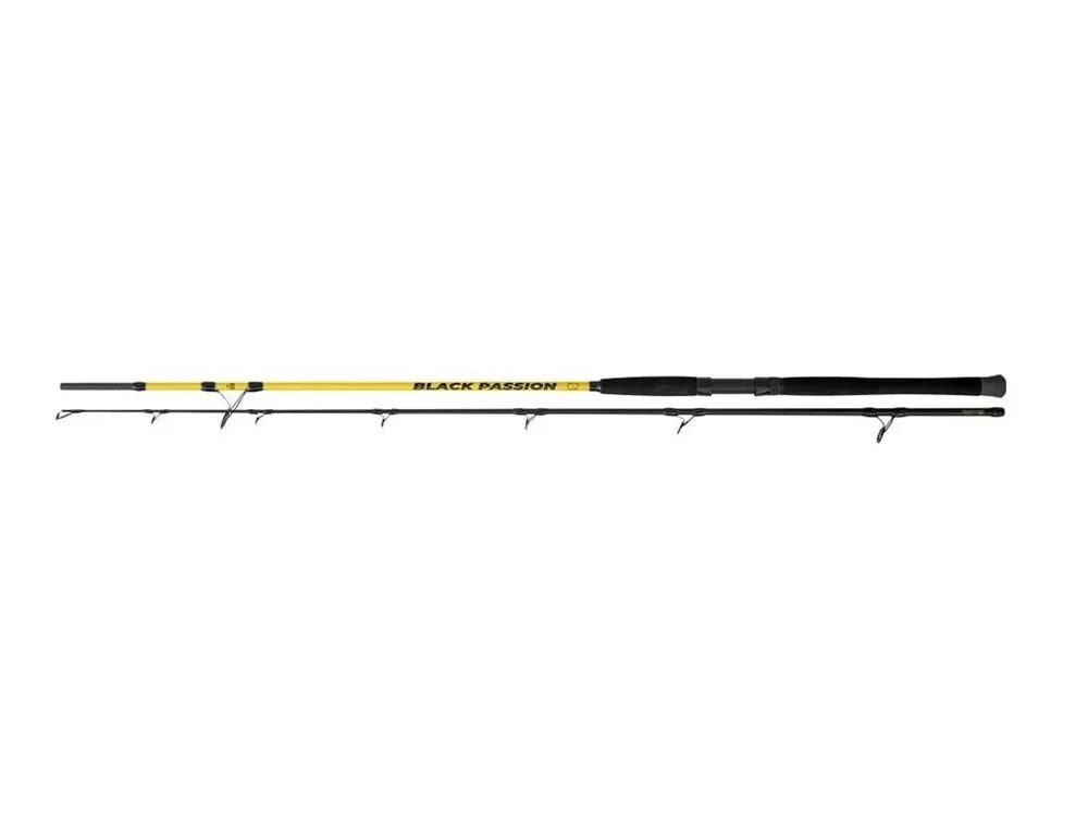 Nová Kolekce Black Cat Prut Black Passion G2 Spin 2,4m 200g