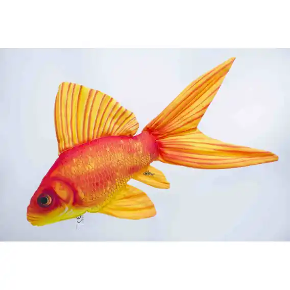 Ihned K Objednání Gaby Polštář Zlatá rybka - 60 cm polštář