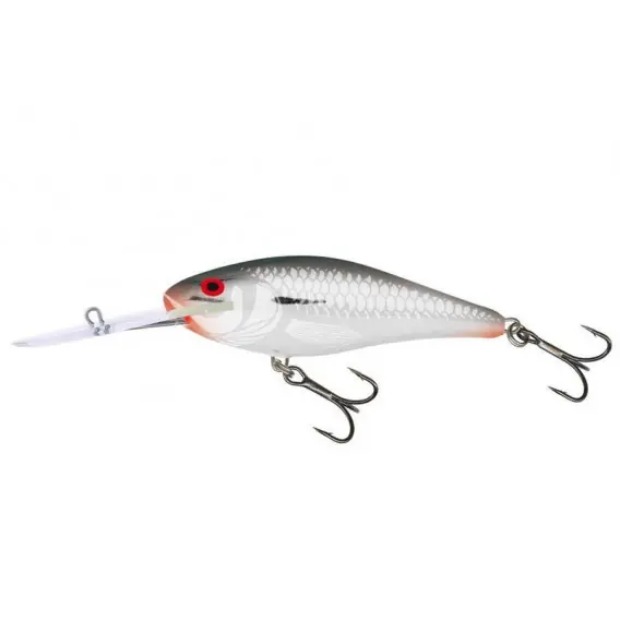 Expresní Doručení Wobler SALMO Executor 5SDR barva SFF