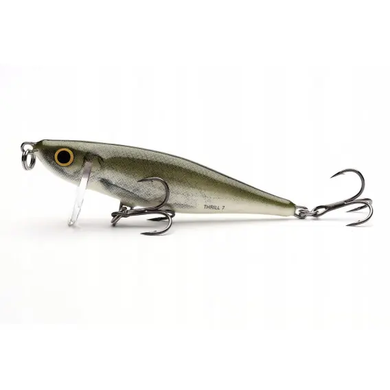 Nakupujte Hned Wobler SALMO Thrill 7cm barva OLB - POTÁPIVÝ