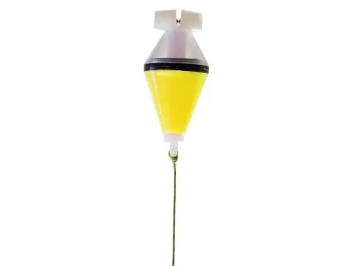 CSV Hanger Écureuil - Jaune Výprodej