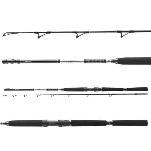 Daiwa BG Deep Sea 2.20m 150-400g Autentický