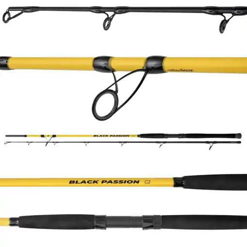Poslední Šance Black Cat Black Passion G2 Spin 2.40m 50-200g