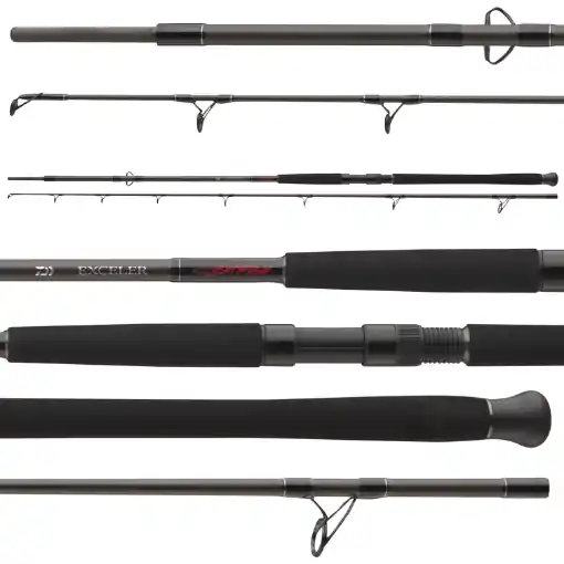 Kup Teď Daiwa Exceler Catfish Boje 2.70m 200-600g