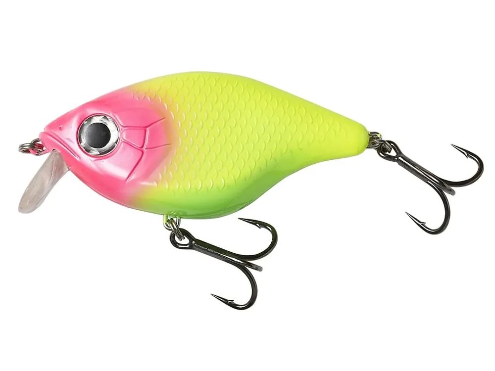 Nejprodávanější Tight-S Shallow 12Cm 65G Floating Rudd