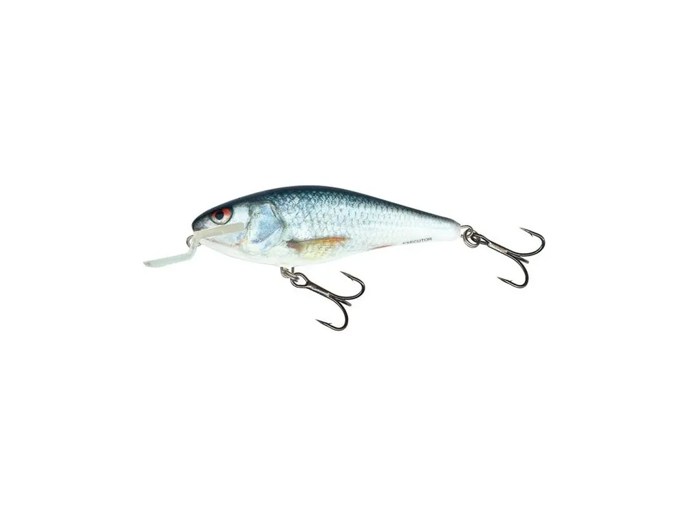 Salmo Wobler Executor Shallow Floating Real Dace 12 cm 33 g Cenový Hit