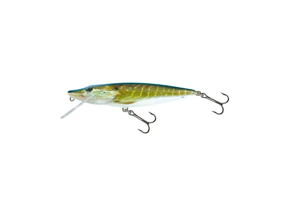Odeslání Ihned Salmo Wobler Pike Floating Real Pike 11 cm 15 g