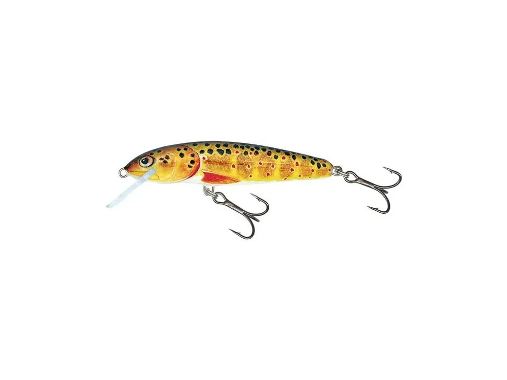 Salmo Wobler Minnow Floating Trout 5 cm 3 g Poslední Šance