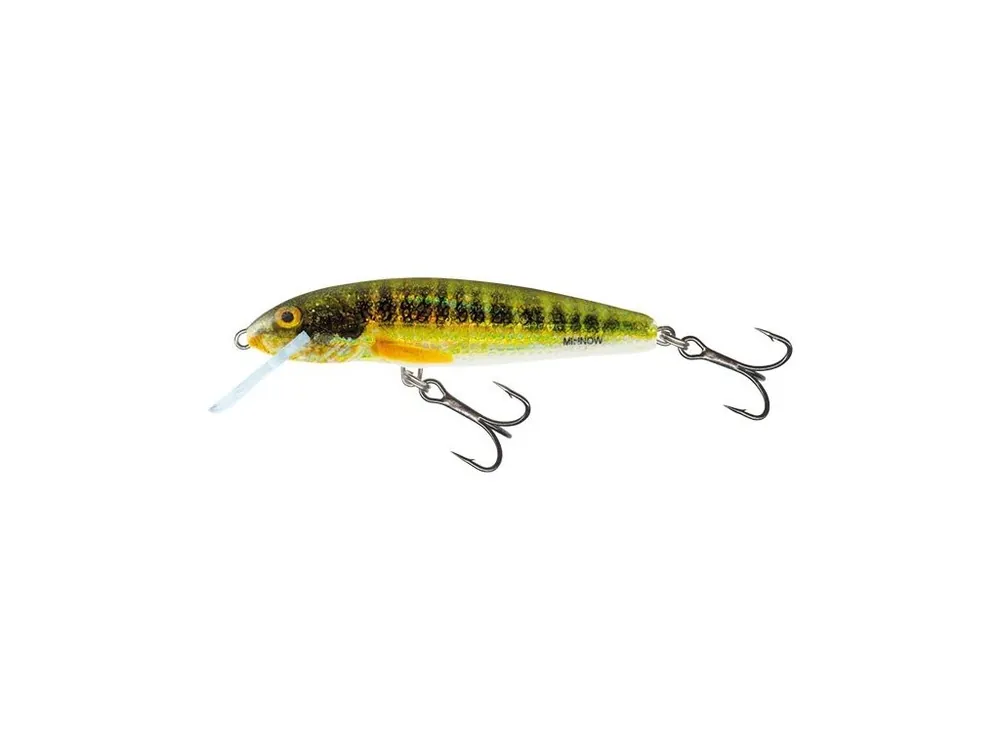 Salmo Wobler Minnow Sinking holo Real Minnow 5 cm 5 g Vrácení Zdarma