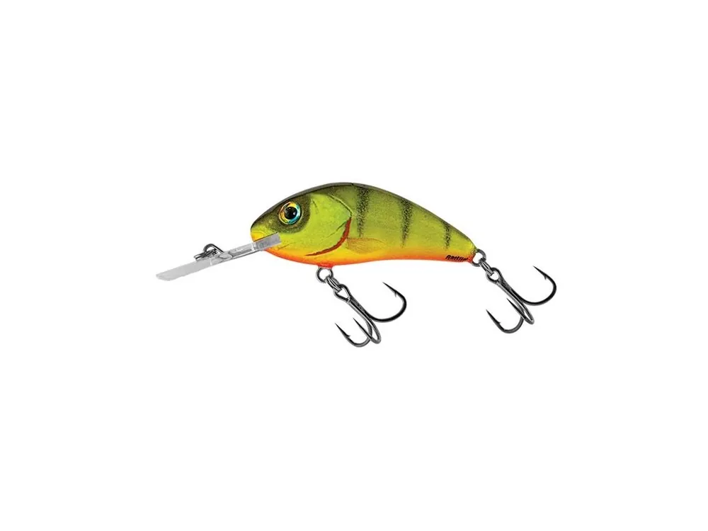 Must-Have Salmo Wobler Rattlin Hornet Floating Hot Perch 5,5 cm 10,5 g