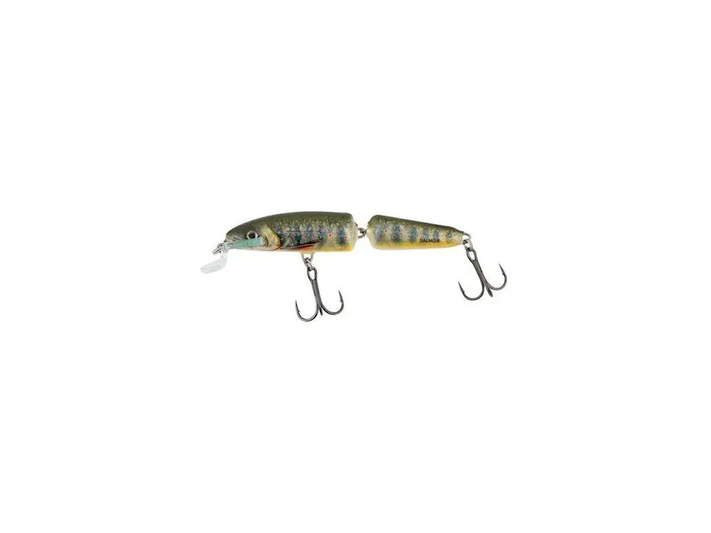Přímo Od Výrobce Salmo Wobler Fanatic Floating Lake Charr 7 cm 5 g