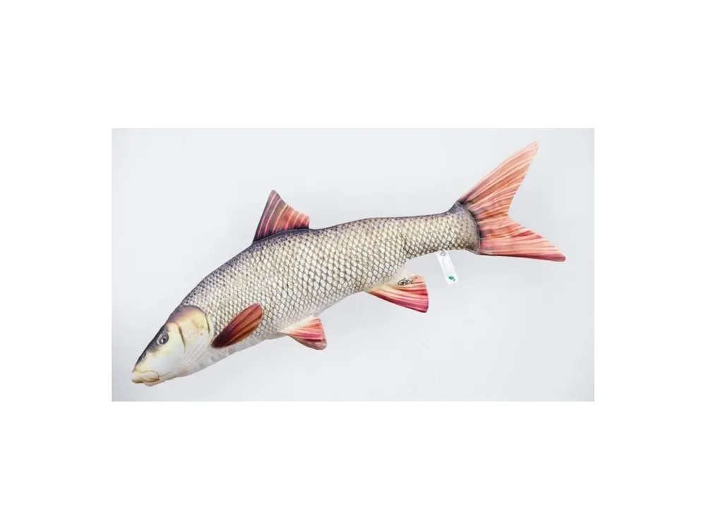 Novinka Gaby Polštář Parma obecná - 80 cm