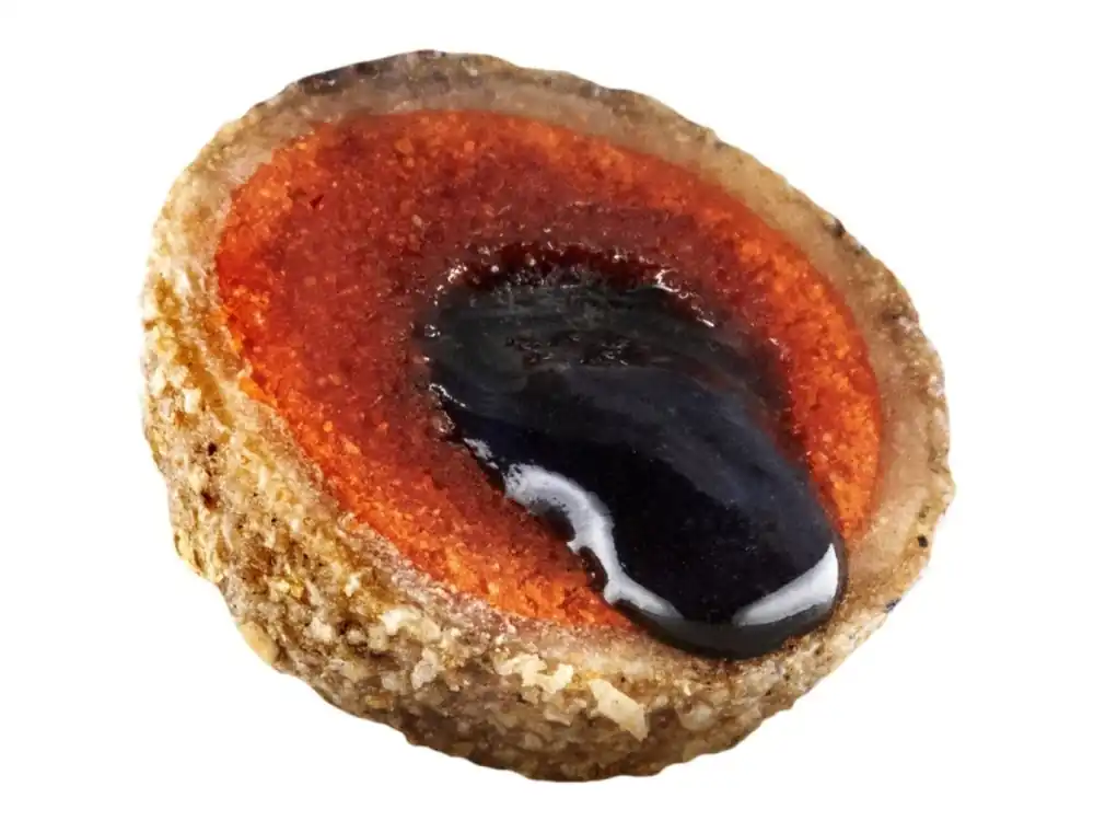 Koupit Online LK Baits Nutrigo Plankton 200ml