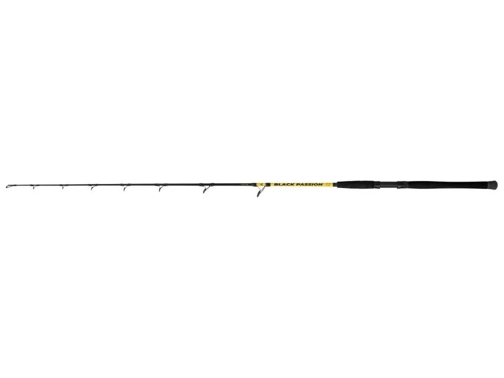Black Cat Sumcový Prut Passion G2 Allround 2,7 m 600 g Cenová Bomba
