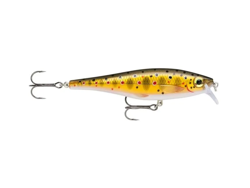 Rapala Wobler BX Minnow 07 TR - 7 cm 7 g Nejlepší Cena