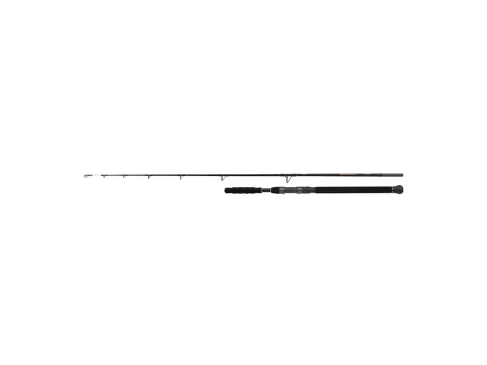 Nová Kolekce Shimano Sumcový Prut Beastmaster AX Catfish Spinning Vertical 1,85 m 200 g